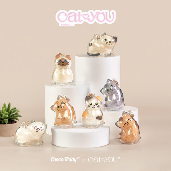 Cat & You Pet Fur Keepsake Collector's Blind Box