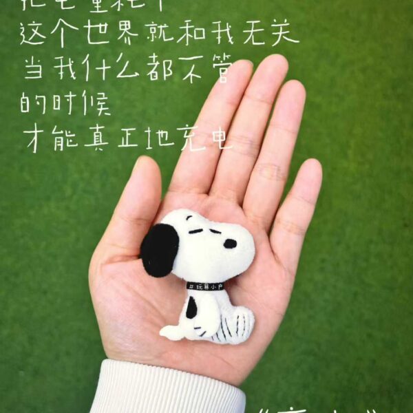 Snoopy Colorful Daily Plush Brooch Blind Bag